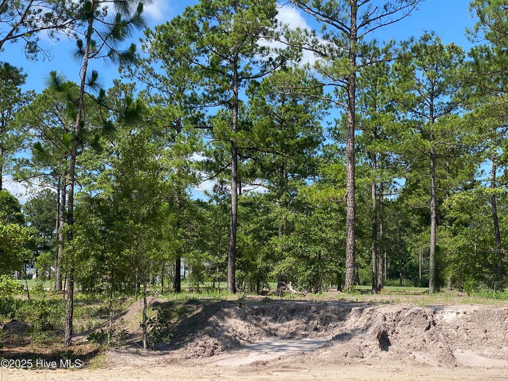 Photo of 8747 Compass Pointe West Wynd NE, Leland, NC 28451 (MLS # 100514357)