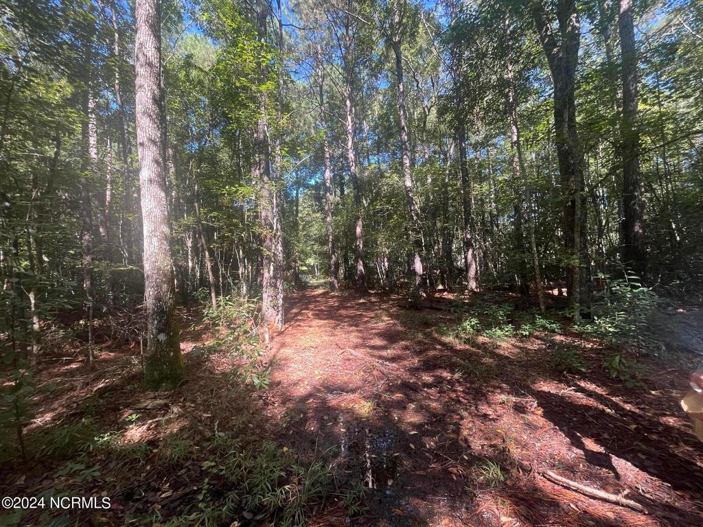 Photo of 1201 E Davis Road, Jacksonville, NC 28546 (MLS # 100466725)