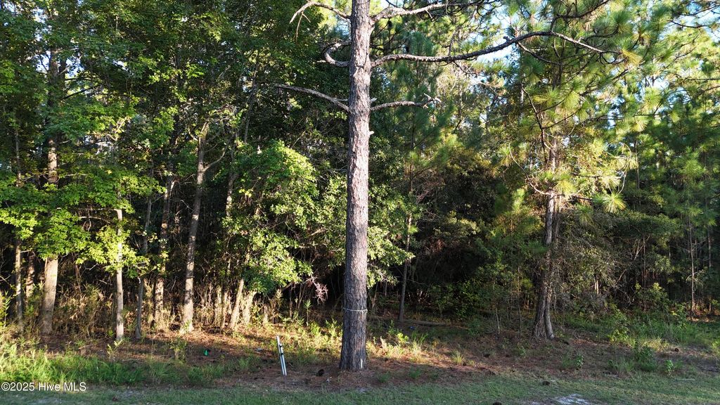 Photo of 1496 Saint Lucia Drive SW, Shallotte, NC 28470 (MLS # 100529224)