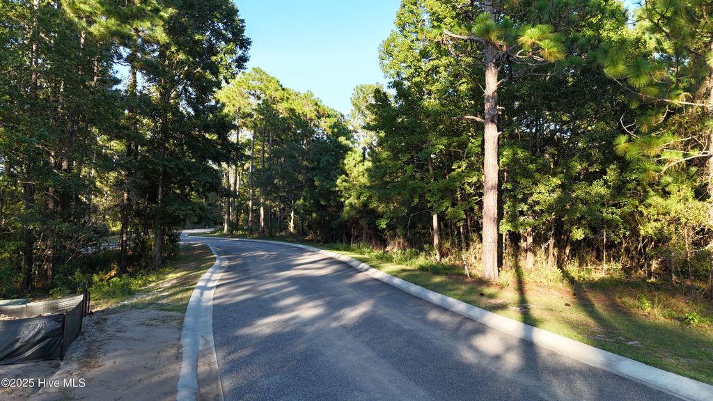 Photo of 1496 Saint Lucia Drive SW, Shallotte, NC 28470 (MLS # 100529224)