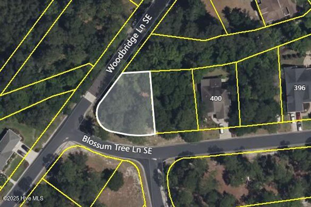 Photo of 1186 Woodbridge Lane SE, Bolivia, NC 28422 (MLS # 100532752)