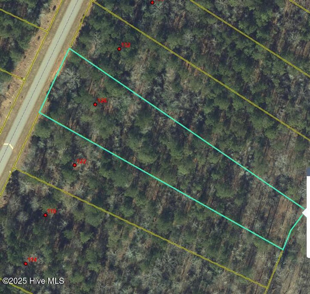 Photo of 126 N State Lane, Rockingham, NC 28379 (MLS # 100536681)