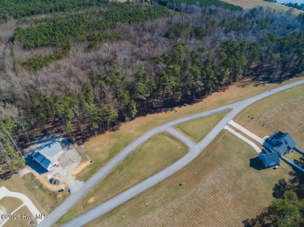 Photo of 251 S Brightleaf Drive, Minnesott Beach, NC 28510 (MLS # 100457250)