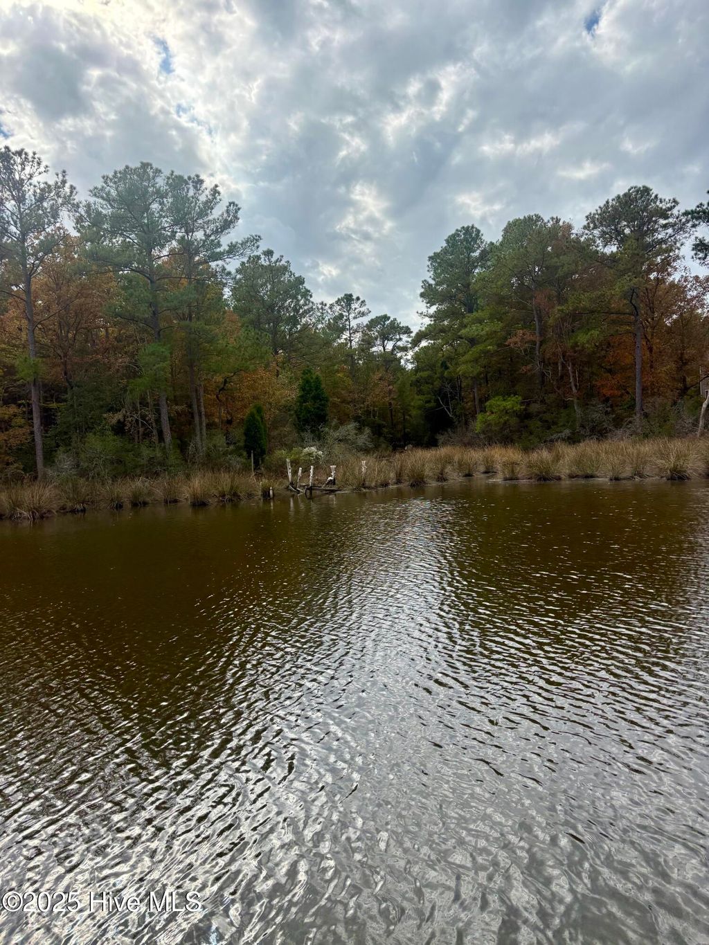 Photo of 408 Tarpon Pointe Road, Bath, NC 27808 (MLS # 100540420)