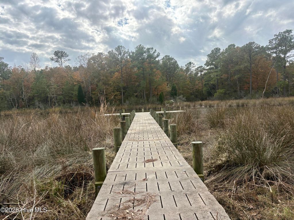 Photo of 408 Tarpon Pointe Road, Bath, NC 27808 (MLS # 100540420)