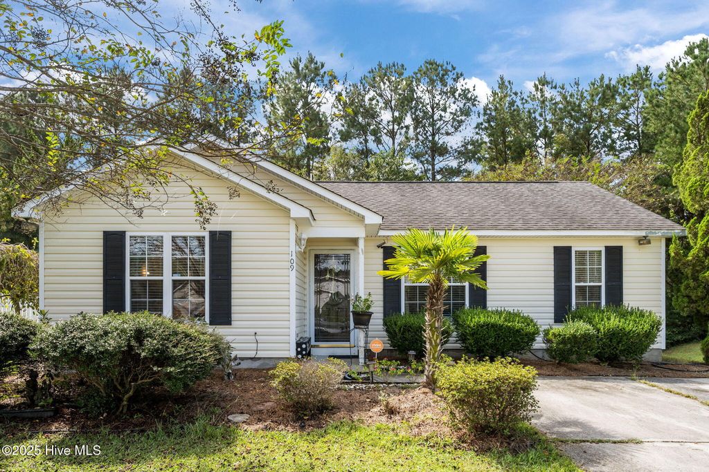 Photo of 109 Tealbriar Street, Burgaw, NC 28425 (MLS # 100534717)