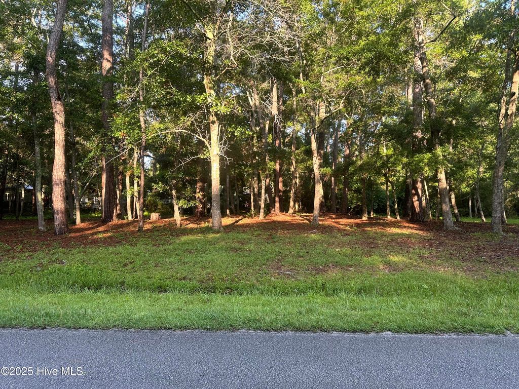 Photo of 1784 Oak Street SW, Ocean Isle Beach, NC 28469 (MLS # 100516328)