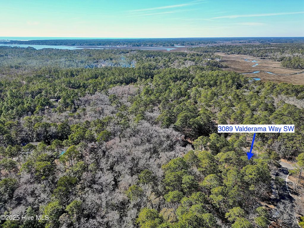 Photo of 3089 Valderama Way SE, Bolivia, NC 28422 (MLS # 100483672)