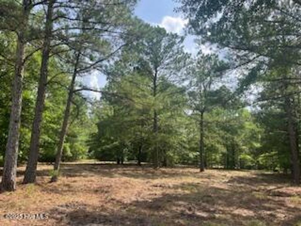 Photo of 297 Cristys Circle, West End, NC 27376 (MLS # 100539076)