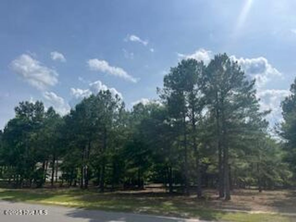 Photo of 297 Cristys Circle, West End, NC 27376 (MLS # 100539076)