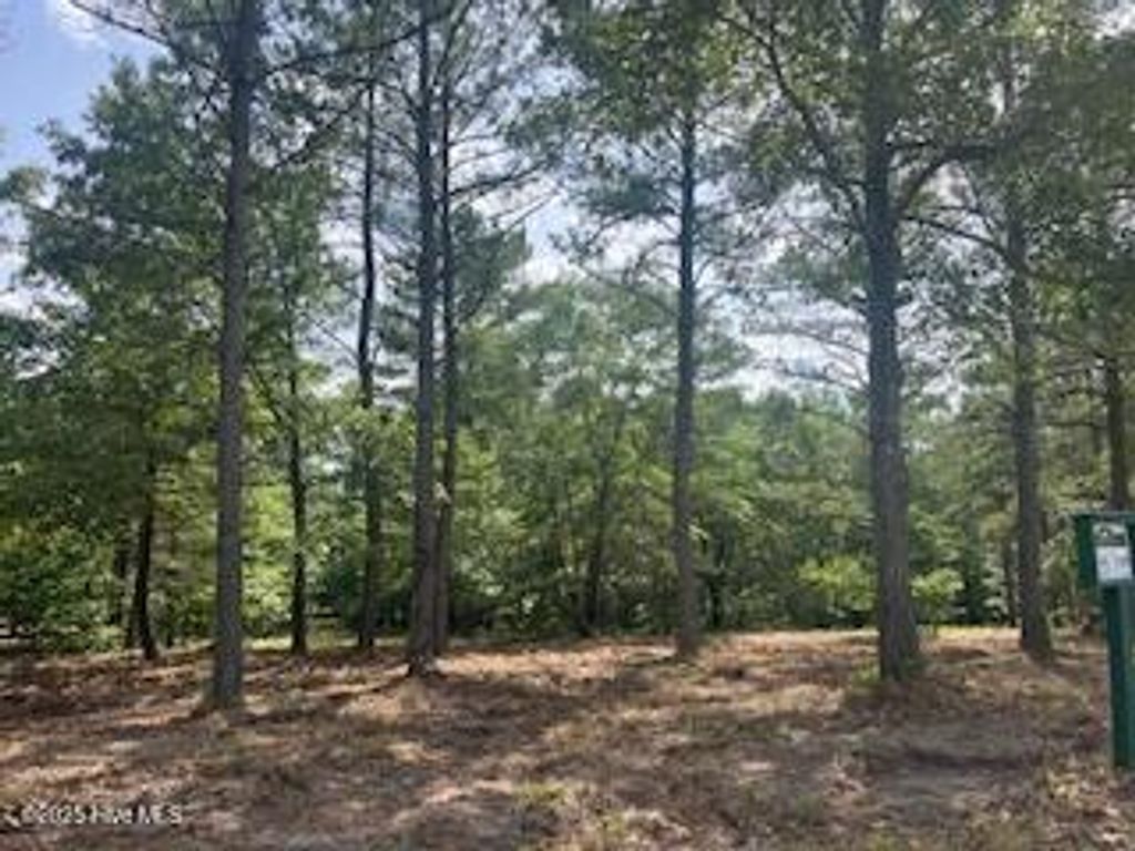 Photo of 297 Cristys Circle, West End, NC 27376 (MLS # 100539076)