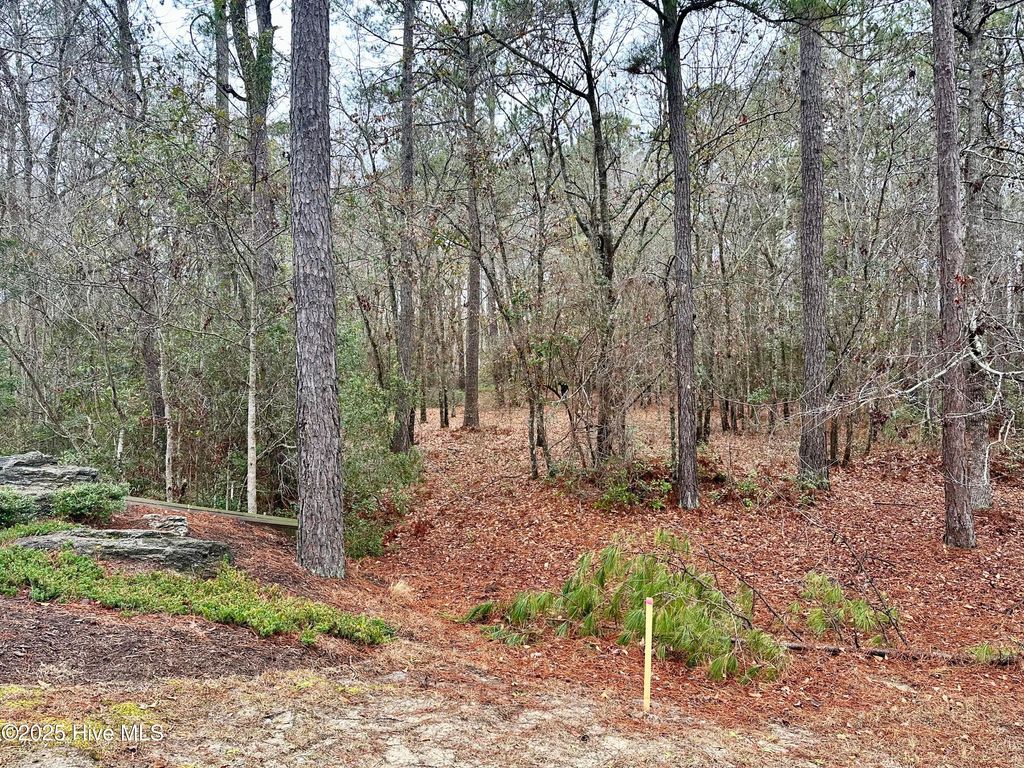 Photo of 538 Lindgrove Place SW, Ocean Isle Beach, NC 28469 (MLS # 100520775)
