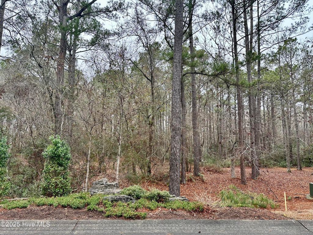 Photo of 538 Lindgrove Place SW, Ocean Isle Beach, NC 28469 (MLS # 100520775)