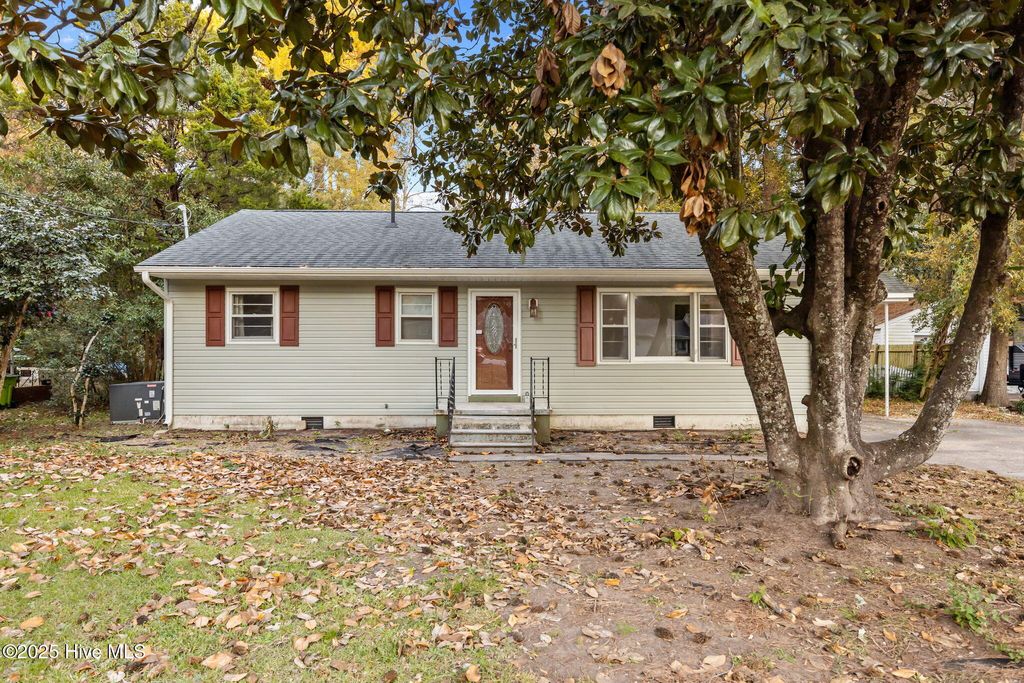Photo of 217 Church Road, Havelock, NC 28532 (MLS # 100542342)