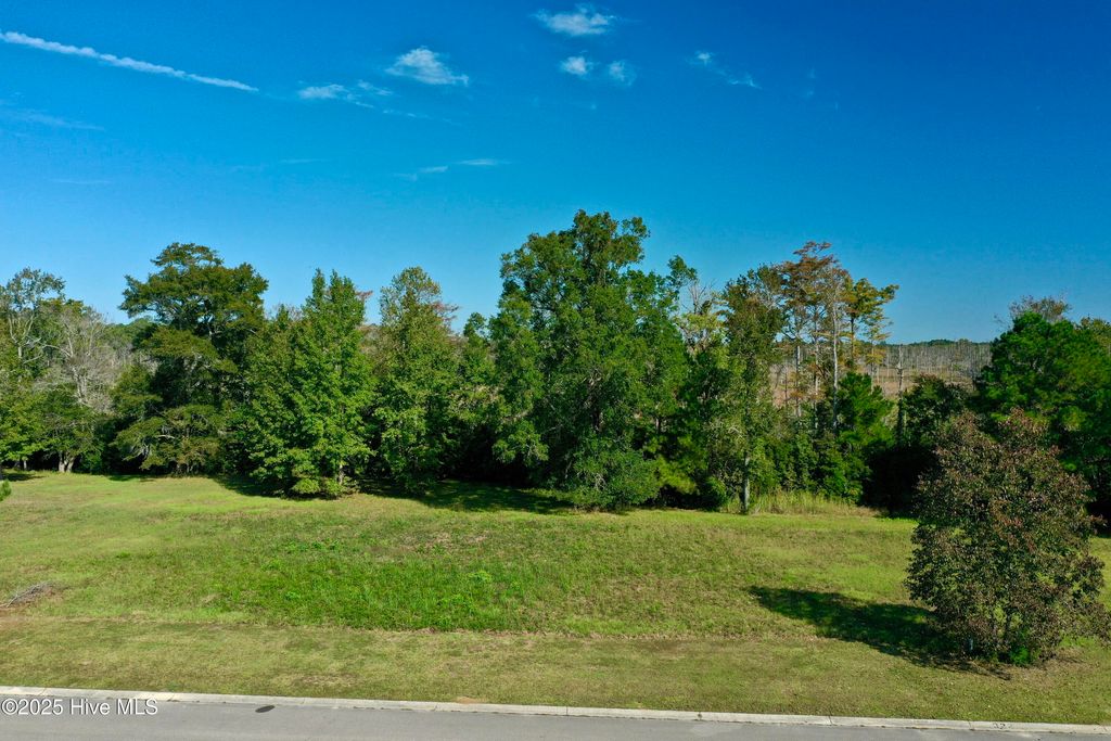 Photo of 322 Levies Landing SW, Supply, NC 28462 (MLS # 100535881)