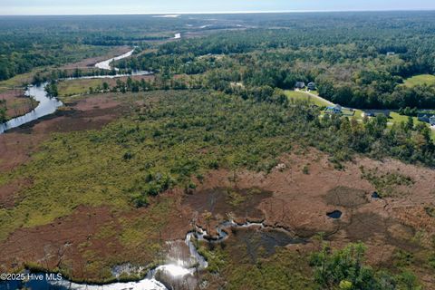 Tiny photo for 322 Levies Landing SW, Supply, NC 28462 (MLS # 100535881)
