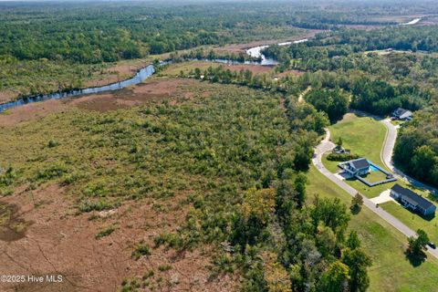 Tiny photo for 322 Levies Landing SW, Supply, NC 28462 (MLS # 100535881)