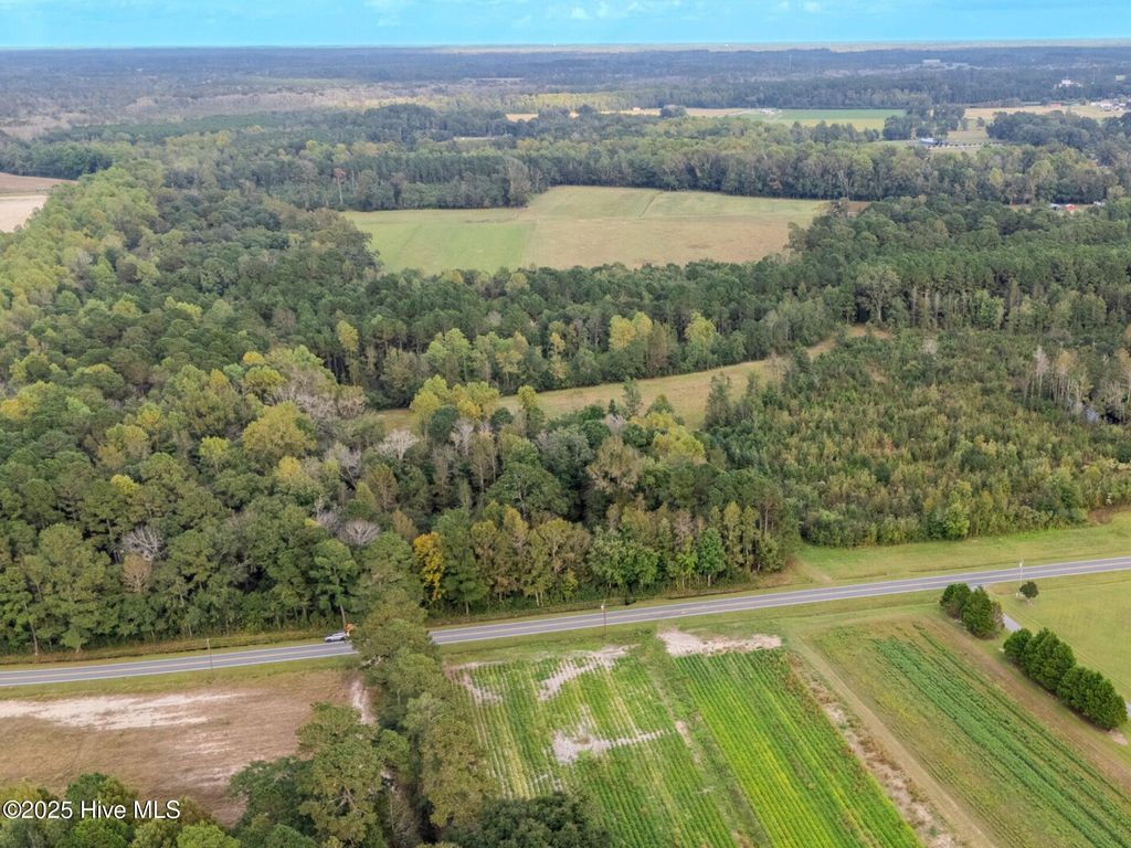 Photo of 3515 Porter Swamp Road, Cerro Gordo, NC 28430 (MLS # 100537782)