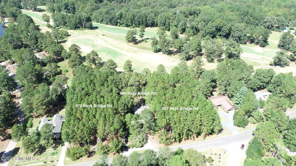Photo of 956 Rays Bridge Road, Whispering Pines, NC 28327 (MLS # 100530126)