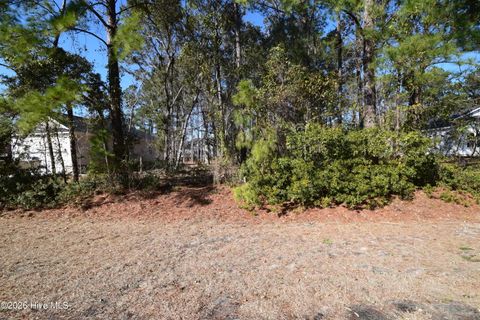 917 Sea Holly Court New Bern NC 28560