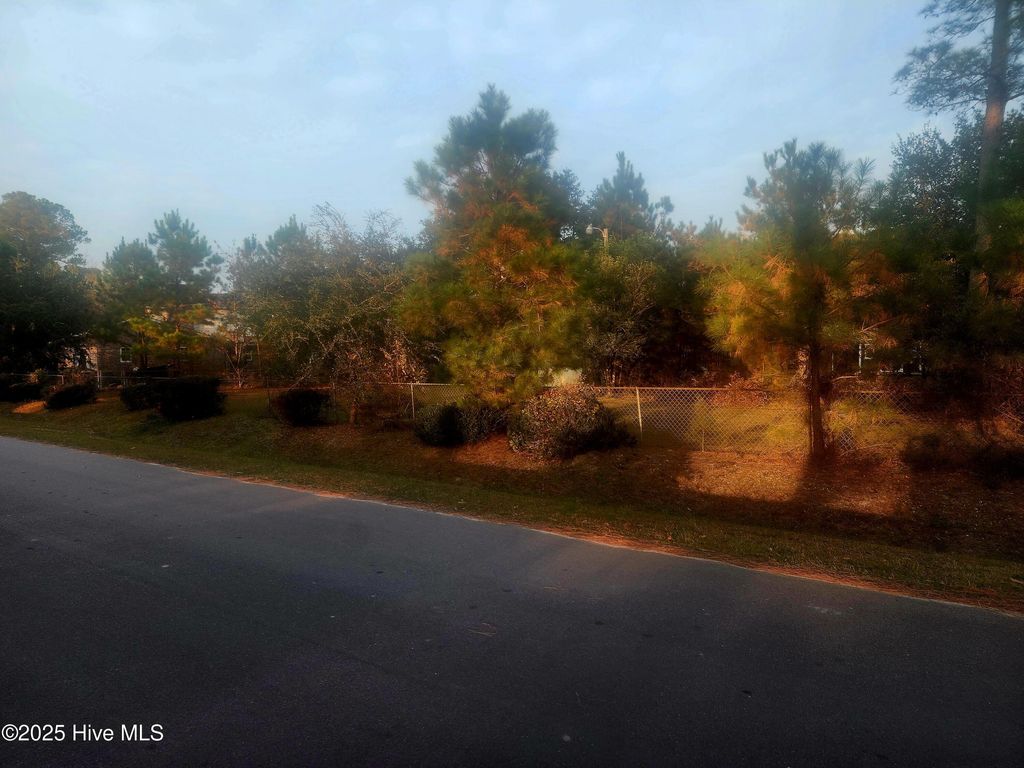 Photo of 1050 Davidson Avenue NE, Leland, NC 28451 (MLS # 100542666)