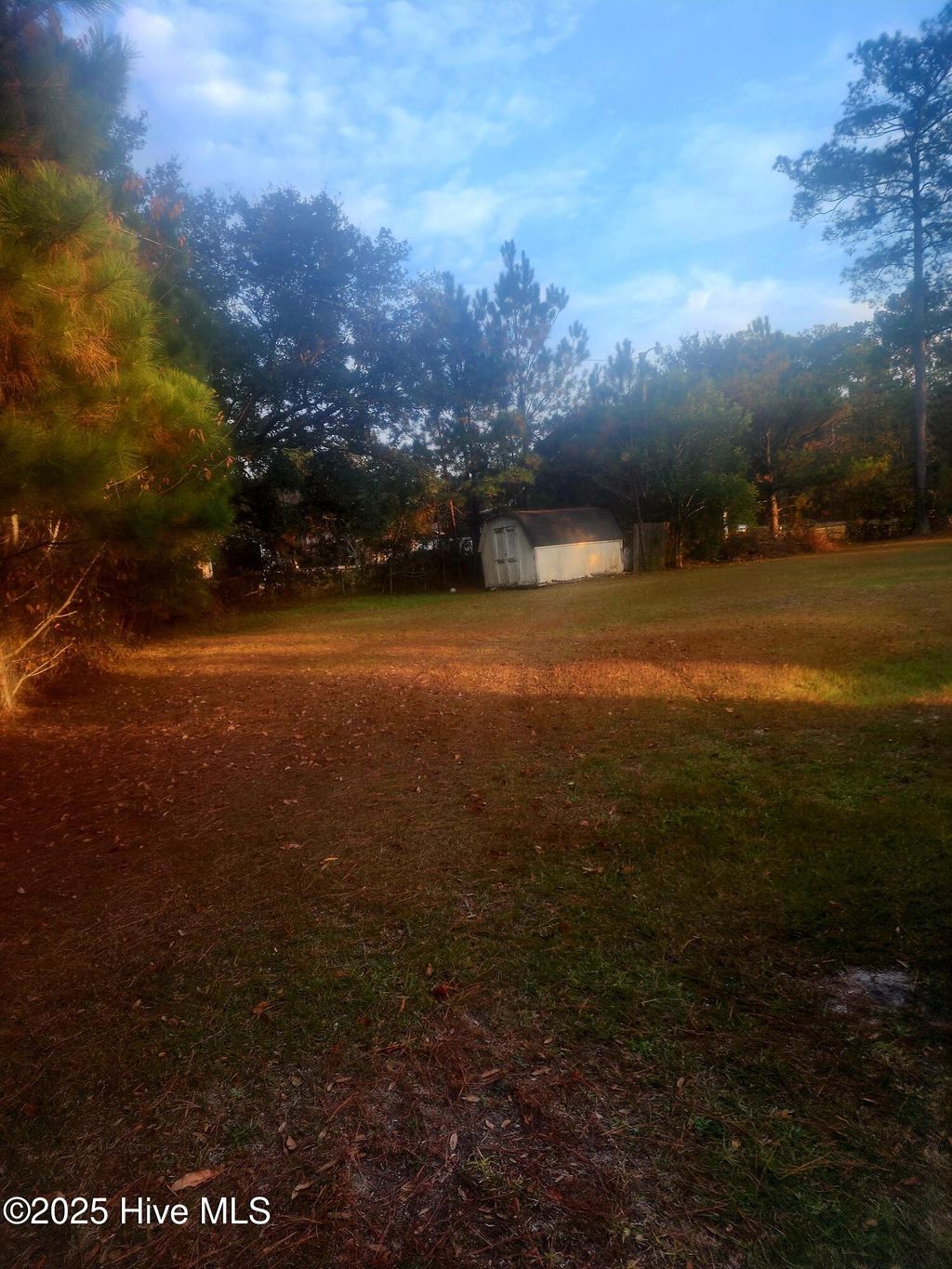 Photo of 1050 Davidson Avenue NE, Leland, NC 28451 (MLS # 100542666)