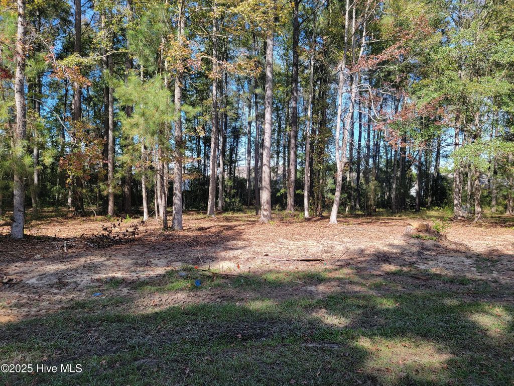 Photo of 6790 Hanbury Place SW, Ocean Isle Beach, NC 28469 (MLS # 100537172)