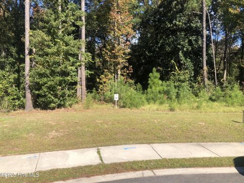 Photo of 1645 Riverview Terrace, Wilmington, NC 28401 (MLS # 100538037)