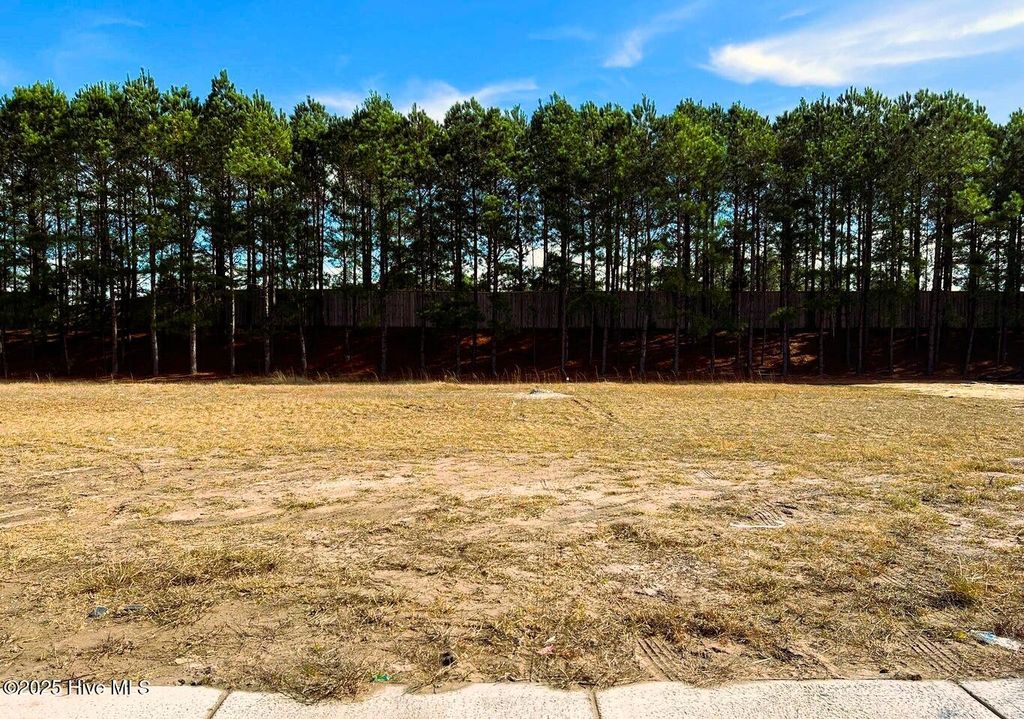 Photo of 2197 Palm Pointe NE, Leland, NC 28451 (MLS # 100499803)