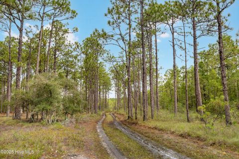 Tiny photo for 17 Hwy Off, Hampstead, NC 28443 (MLS # 100525966)