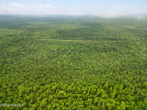 Tiny photo for 17 Hwy Off, Hampstead, NC 28443 (MLS # 100525966)