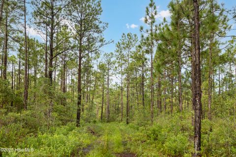 Tiny photo for 17 Hwy Off, Hampstead, NC 28443 (MLS # 100525966)