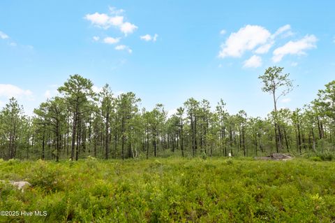 Tiny photo for 17 Hwy Off, Hampstead, NC 28443 (MLS # 100525966)