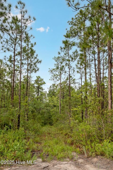 Tiny photo for 17 Hwy Off, Hampstead, NC 28443 (MLS # 100525966)