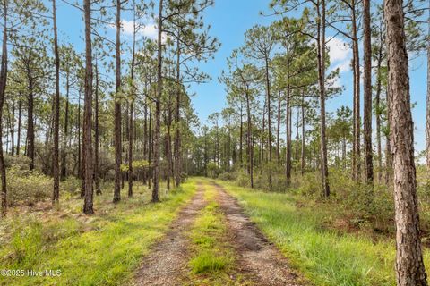 Tiny photo for 17 Hwy Off, Hampstead, NC 28443 (MLS # 100525966)