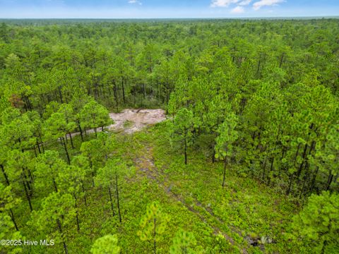 Tiny photo for 17 Hwy Off, Hampstead, NC 28443 (MLS # 100525966)