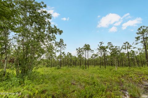 Tiny photo for 17 Hwy Off, Hampstead, NC 28443 (MLS # 100525966)