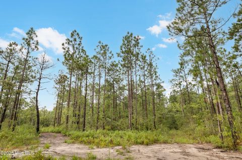 Tiny photo for 17 Hwy Off, Hampstead, NC 28443 (MLS # 100525966)