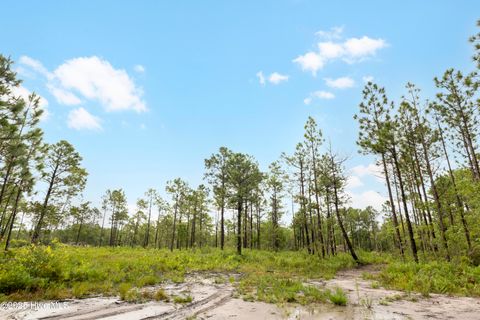 Tiny photo for 17 Hwy Off, Hampstead, NC 28443 (MLS # 100525966)