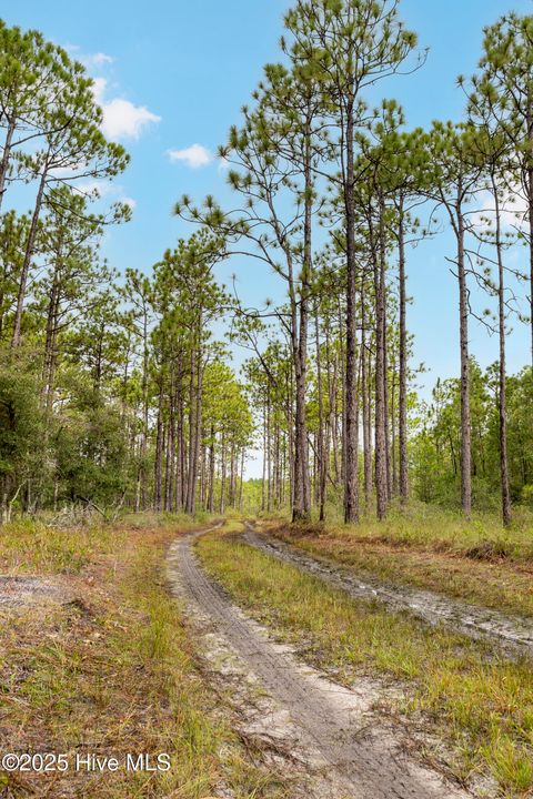 Tiny photo for 17 Hwy Off, Hampstead, NC 28443 (MLS # 100525966)