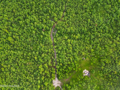 Tiny photo for 17 Hwy Off, Hampstead, NC 28443 (MLS # 100525966)