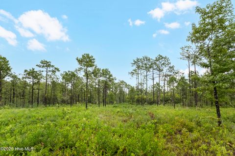 Tiny photo for 17 Hwy Off, Hampstead, NC 28443 (MLS # 100525966)