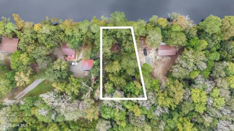 Photo of 0 Bear Run Road, Burgaw, NC 28425 (MLS # 100534940)