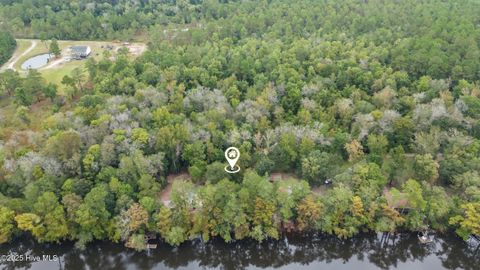 Tiny photo for 0 Bear Run Road, Burgaw, NC 28425 (MLS # 100534940)