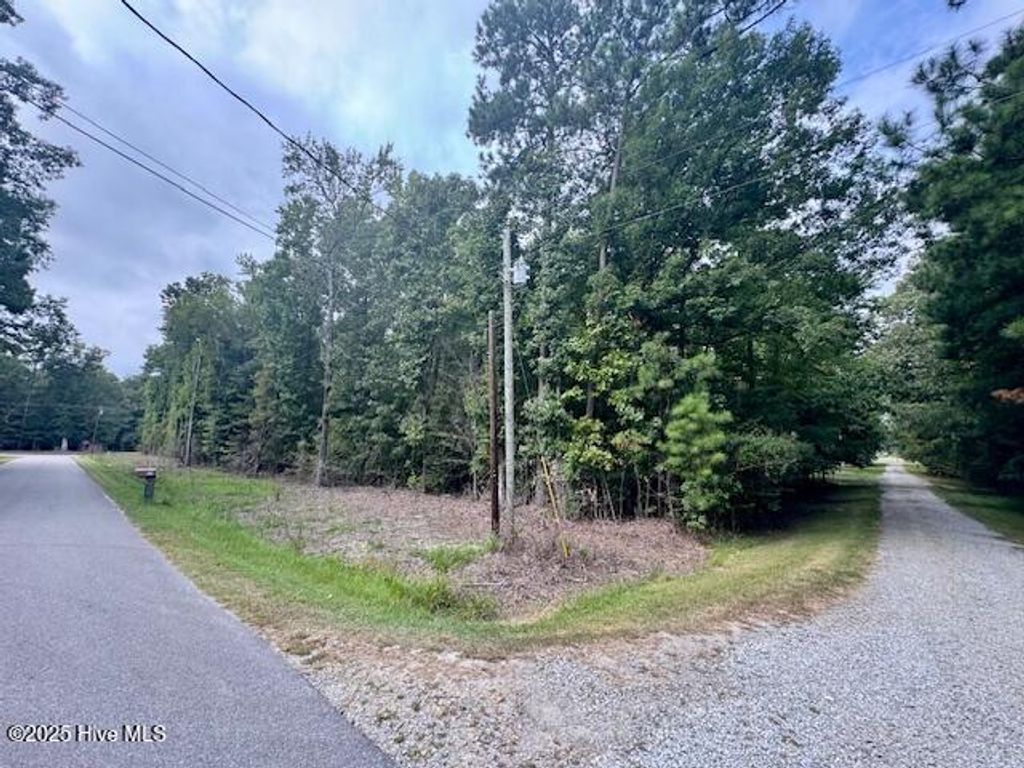 Photo of 5051 Chestnut Street, Hertford, NC 27944 (MLS # 100532321)