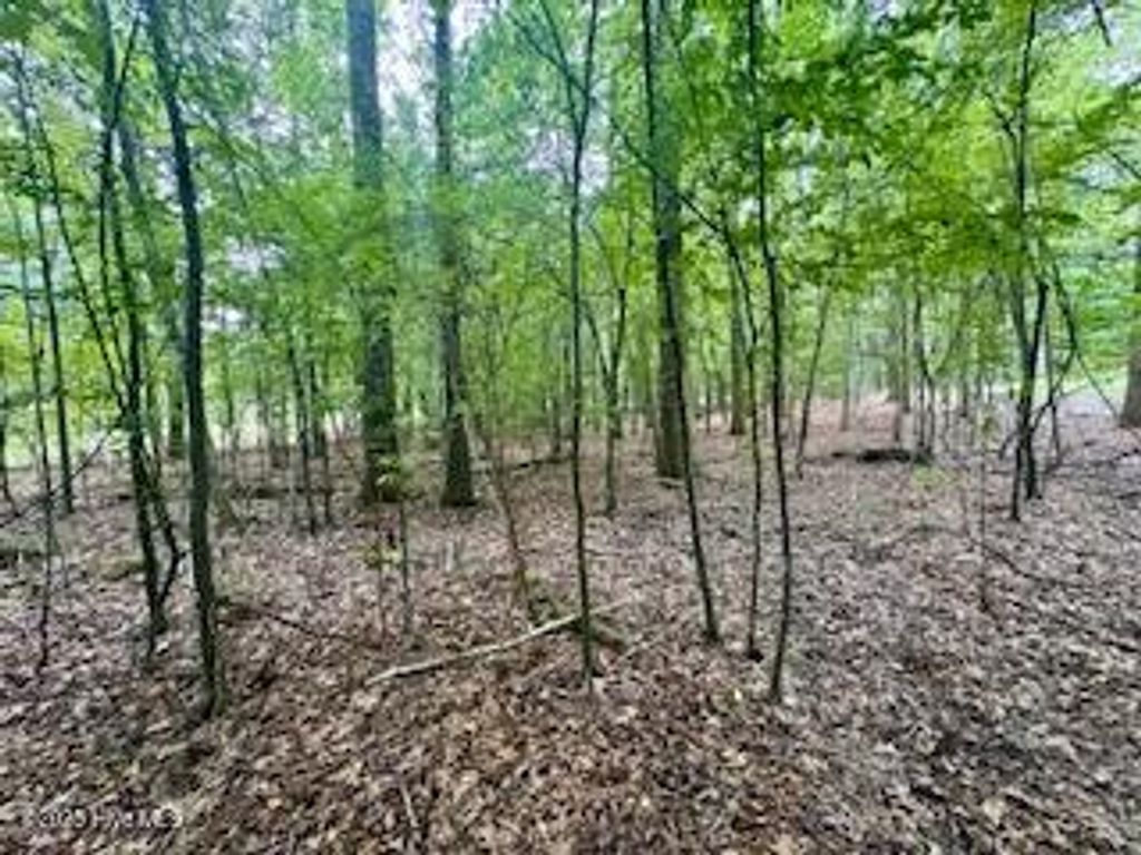 Photo of 5051 Chestnut Street, Hertford, NC 27944 (MLS # 100532321)