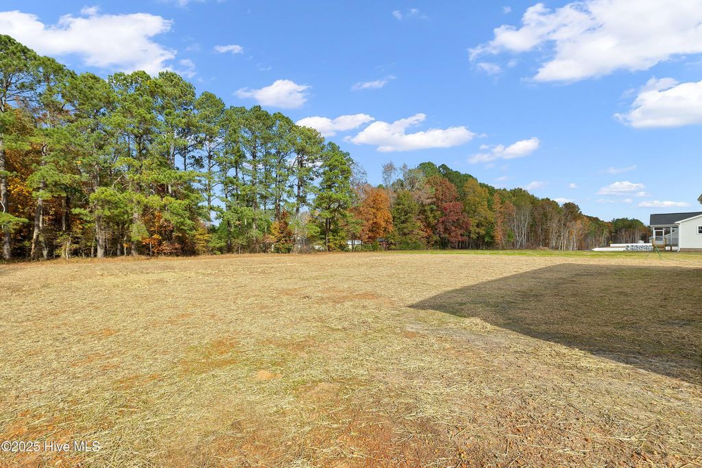 Photo of 9462 Turkey Way, Middlesex, NC 27557 (MLS # 100540745)