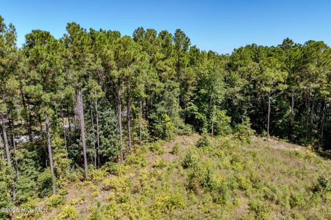 Tiny photo for 529 Holly Ridge Road, Holly Ridge, NC 28445 (MLS # 100530481)