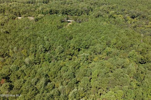 Tiny photo for 529 Holly Ridge Road, Holly Ridge, NC 28445 (MLS # 100530481)