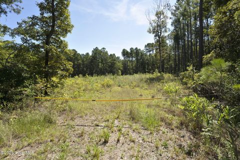 Tiny photo for 529 Holly Ridge Road, Holly Ridge, NC 28445 (MLS # 100530481)